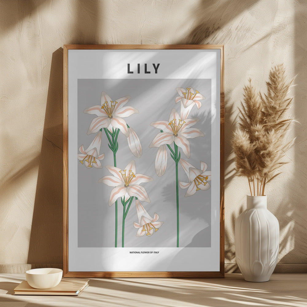 Lily - National flower of Italy Poster