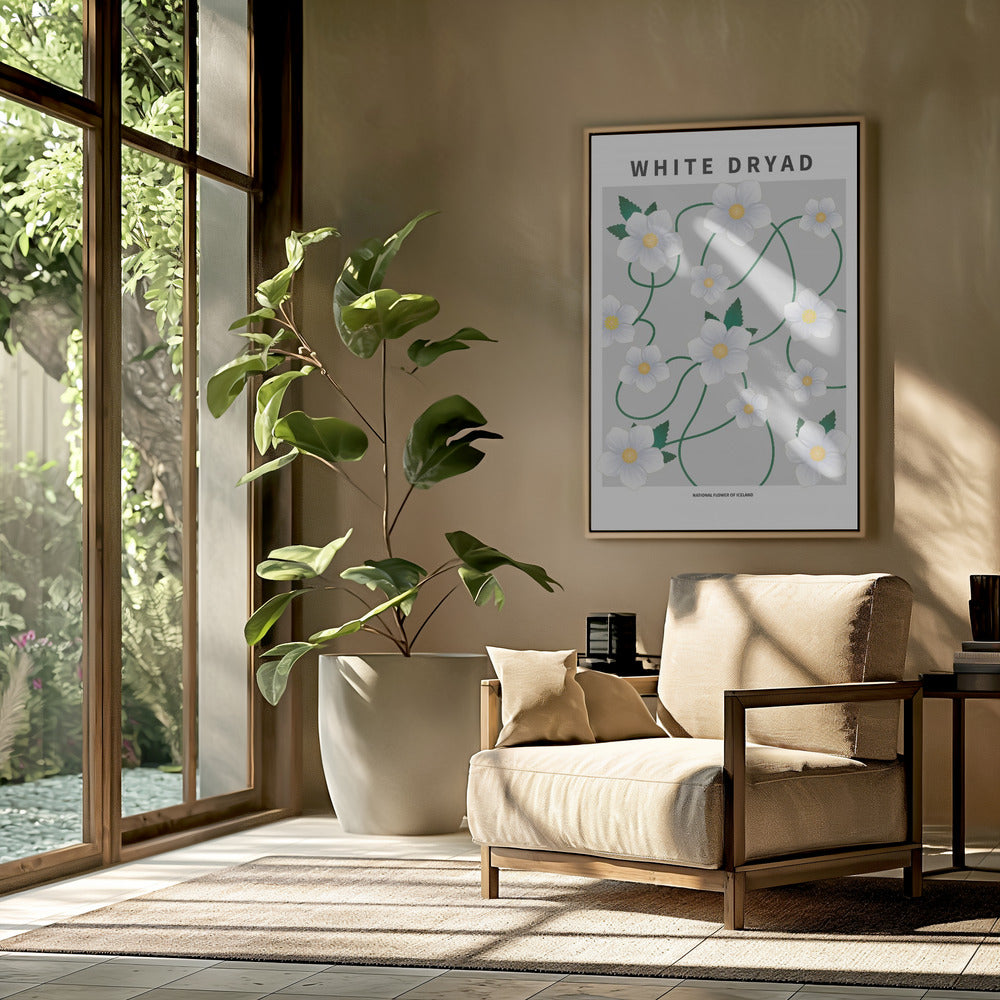 White dryad - National flower of Iceland Poster