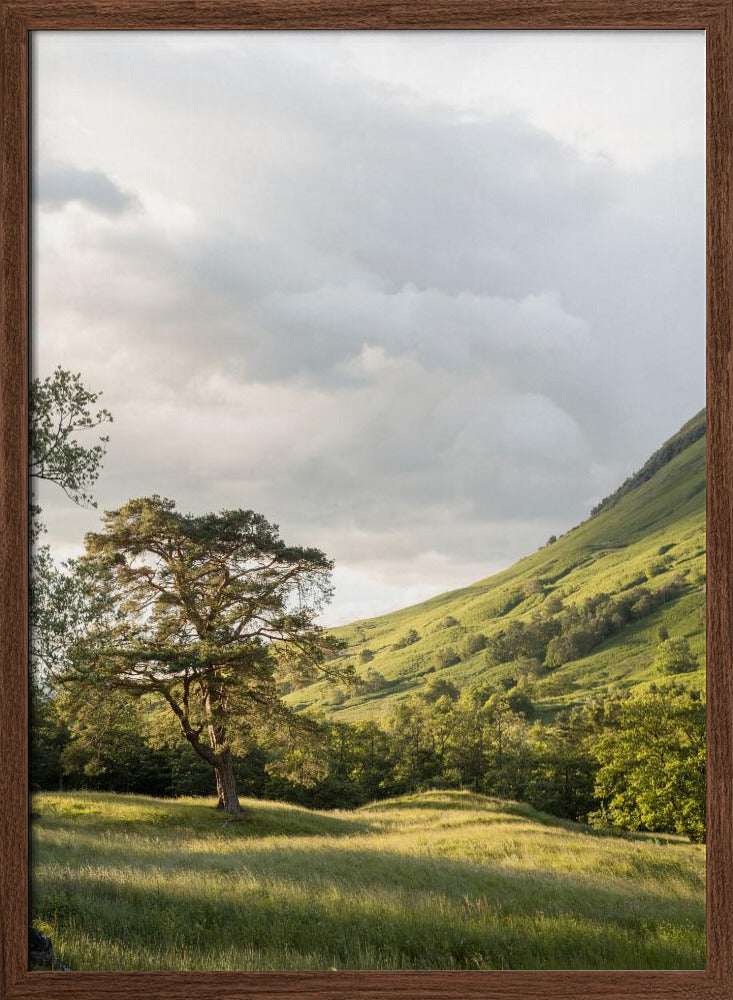 Into the Highlands Poster