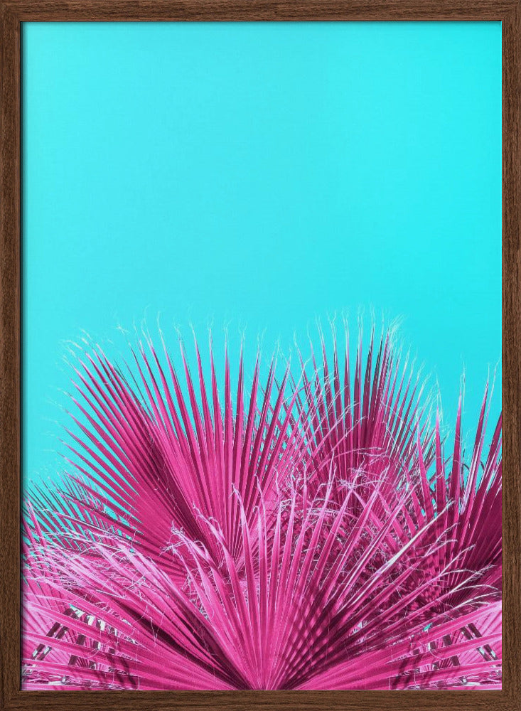 Electric Pink Palm Fronds