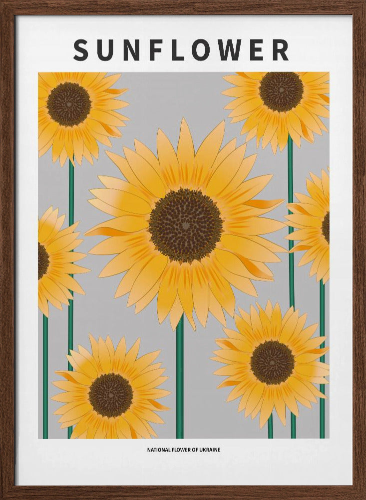 Sunflower - National flower och Ukraine Poster