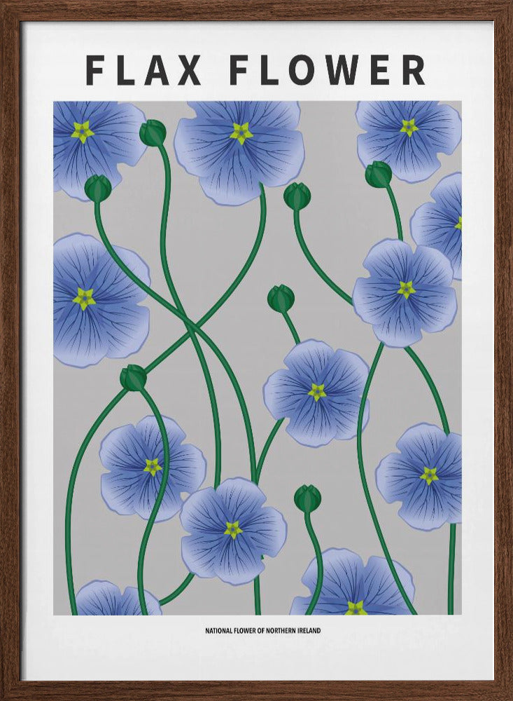Flax flower - National flower of Ireland Poster