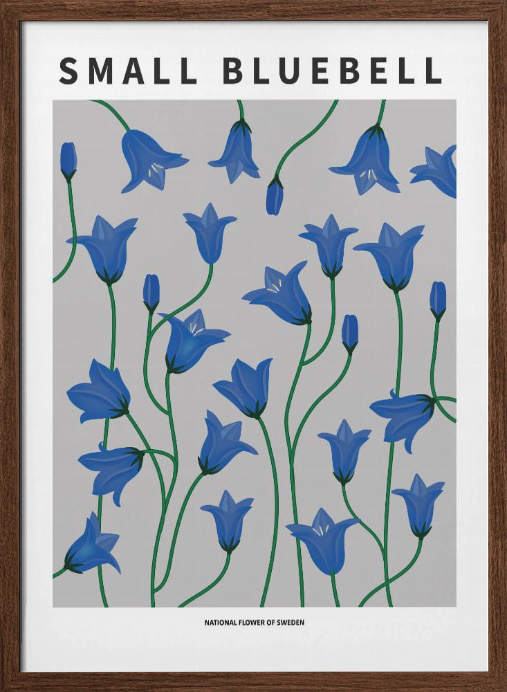 Small Bluebell - National flower of Sweden Poster