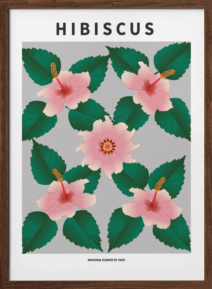 Hibiscus - National flower of Haiti Poster
