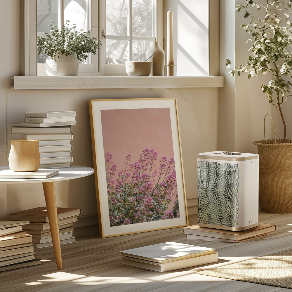 Summer Flowers Poster