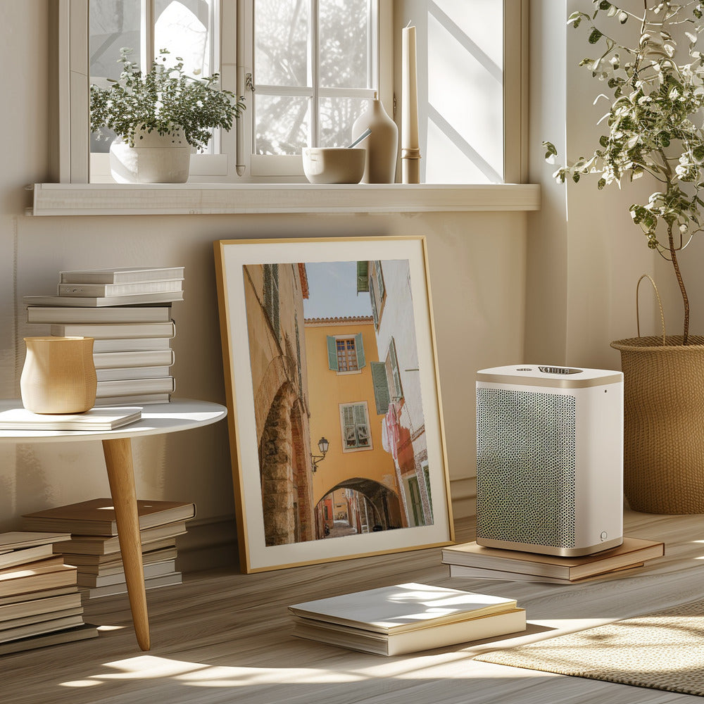 Summer in Menton Poster