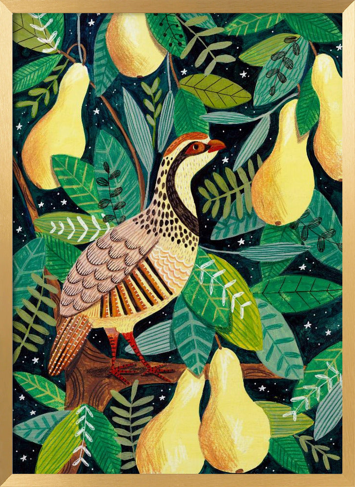 Partridge in a pear tree Poster