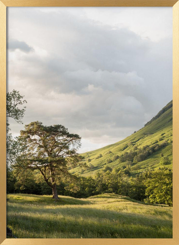 Into the Highlands Poster