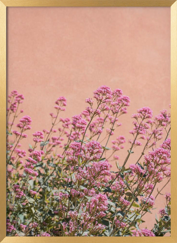 Summer Flowers Poster