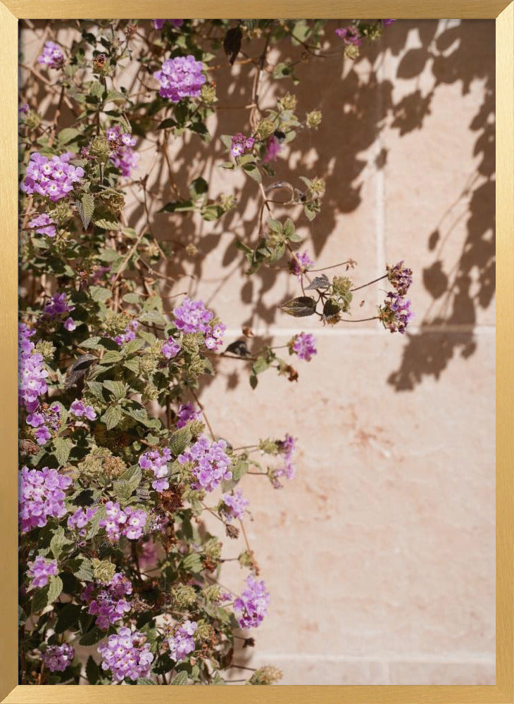 Lilac Summer Poster