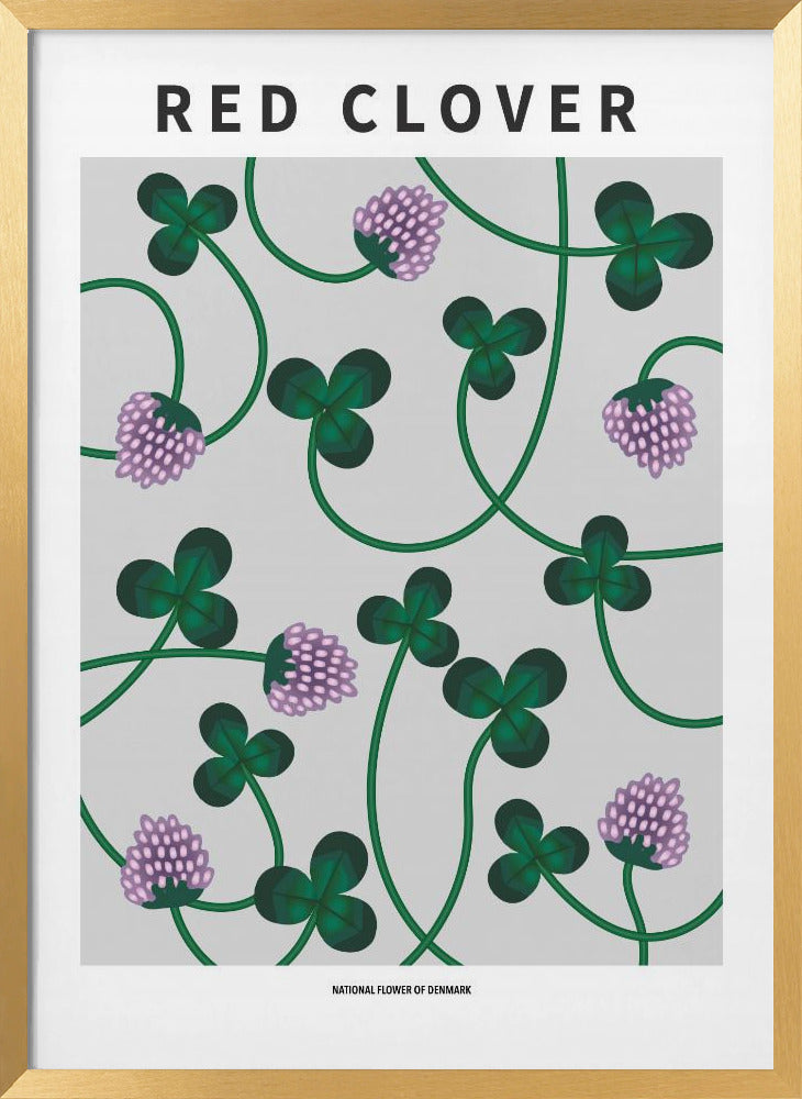 Red Clover - National flower of Denmark Poster