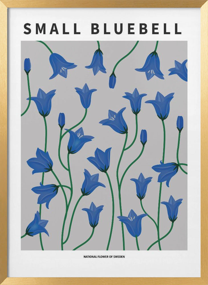 Small Bluebell - National flower of Sweden Poster