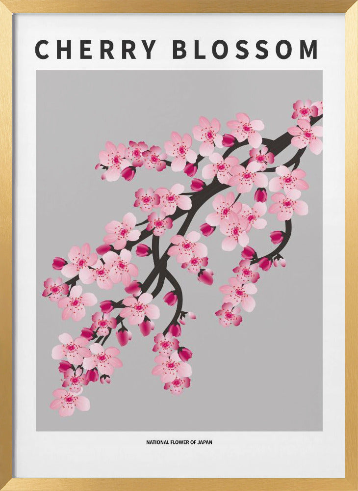 Cherry blossom - National flower of Japan Poster