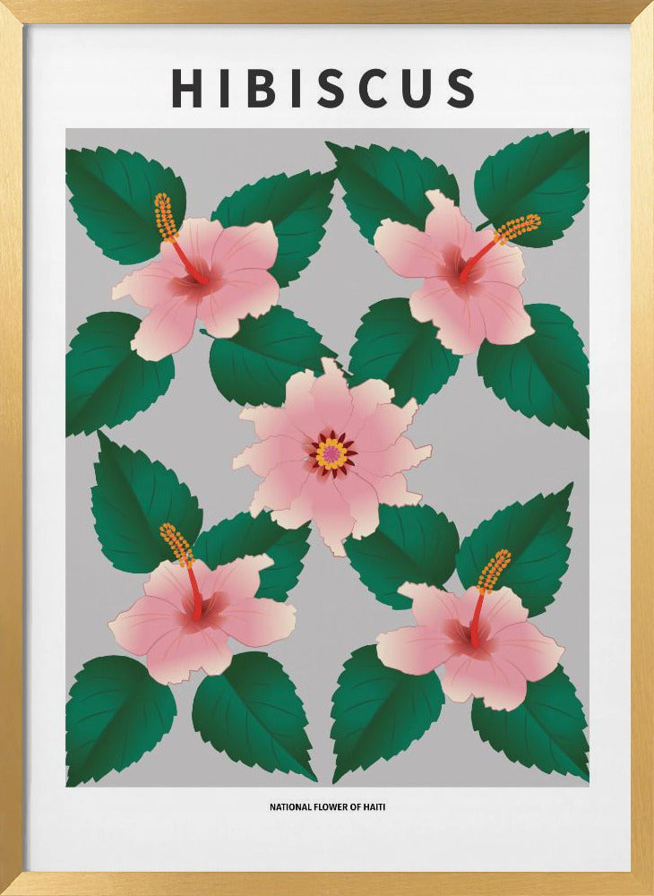 Hibiscus - National flower of Haiti Poster