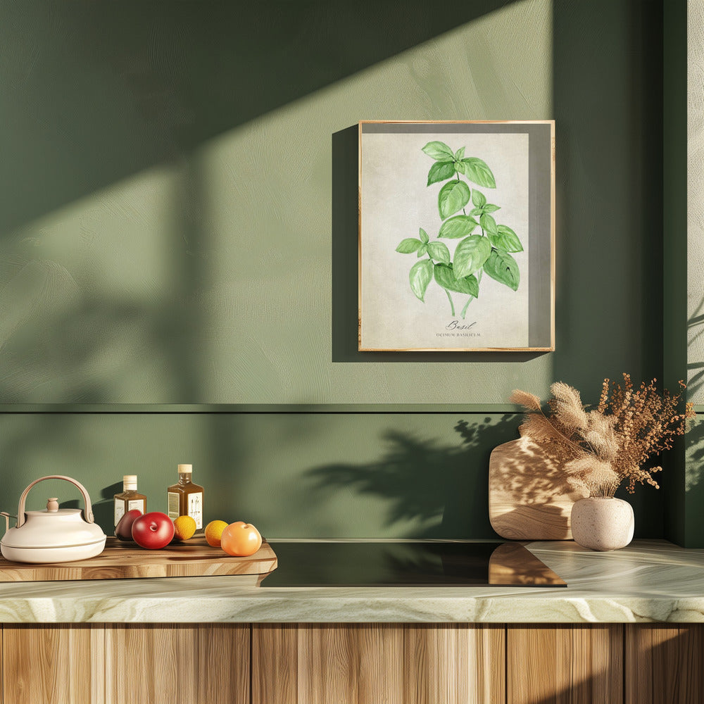 Basil vintage Poster