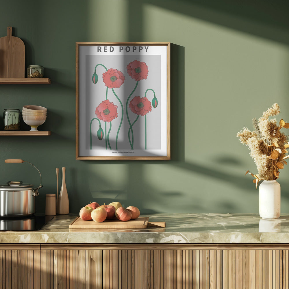 Red Poppy - National flower of Belgium Poster