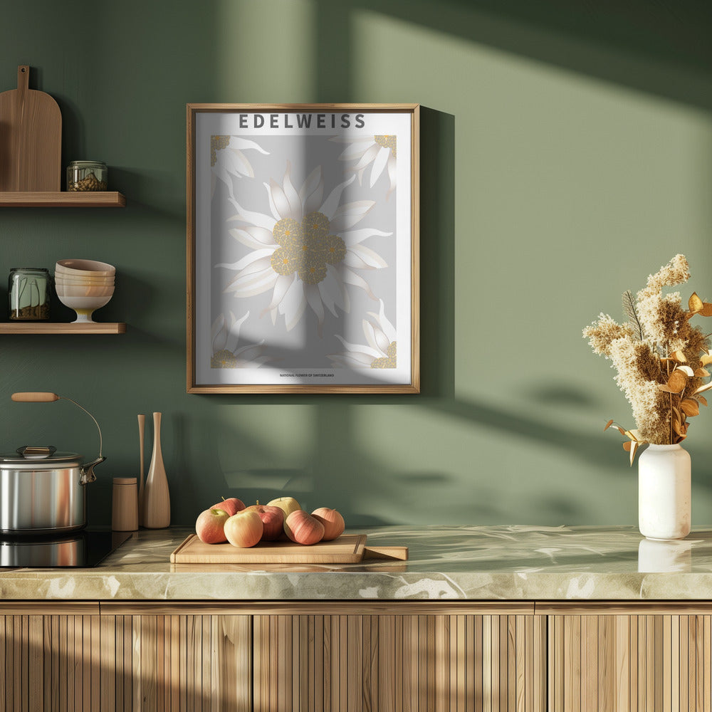Edelweiss - National flower of Switzerland Poster