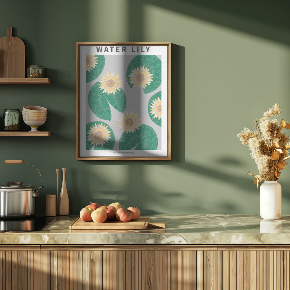 Water lily - National flower of Bangladesh Poster