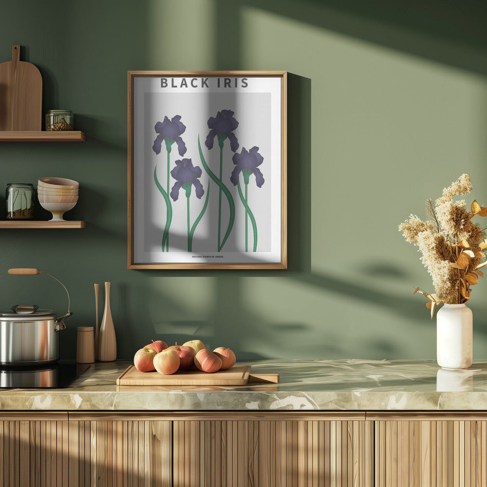 Black Iris - National flower of Jordan Poster