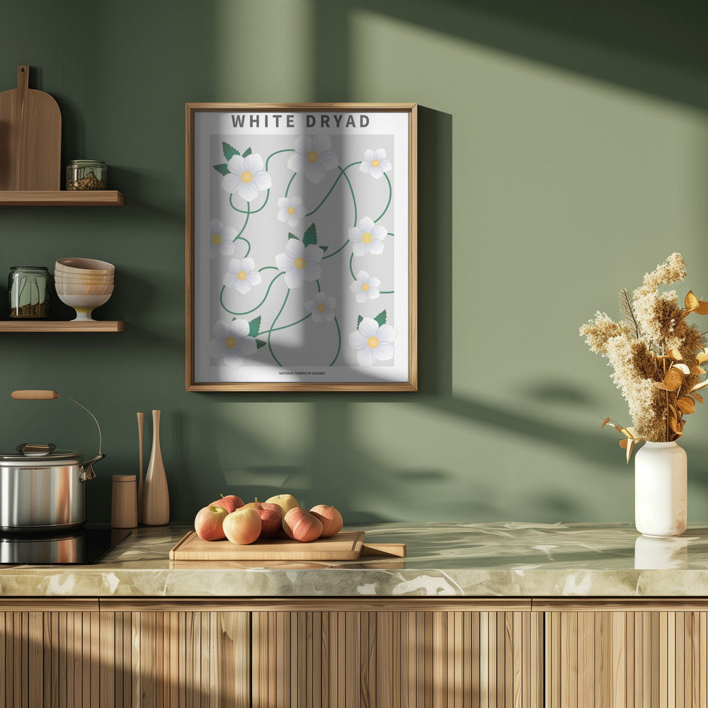 White dryad - National flower of Iceland Poster