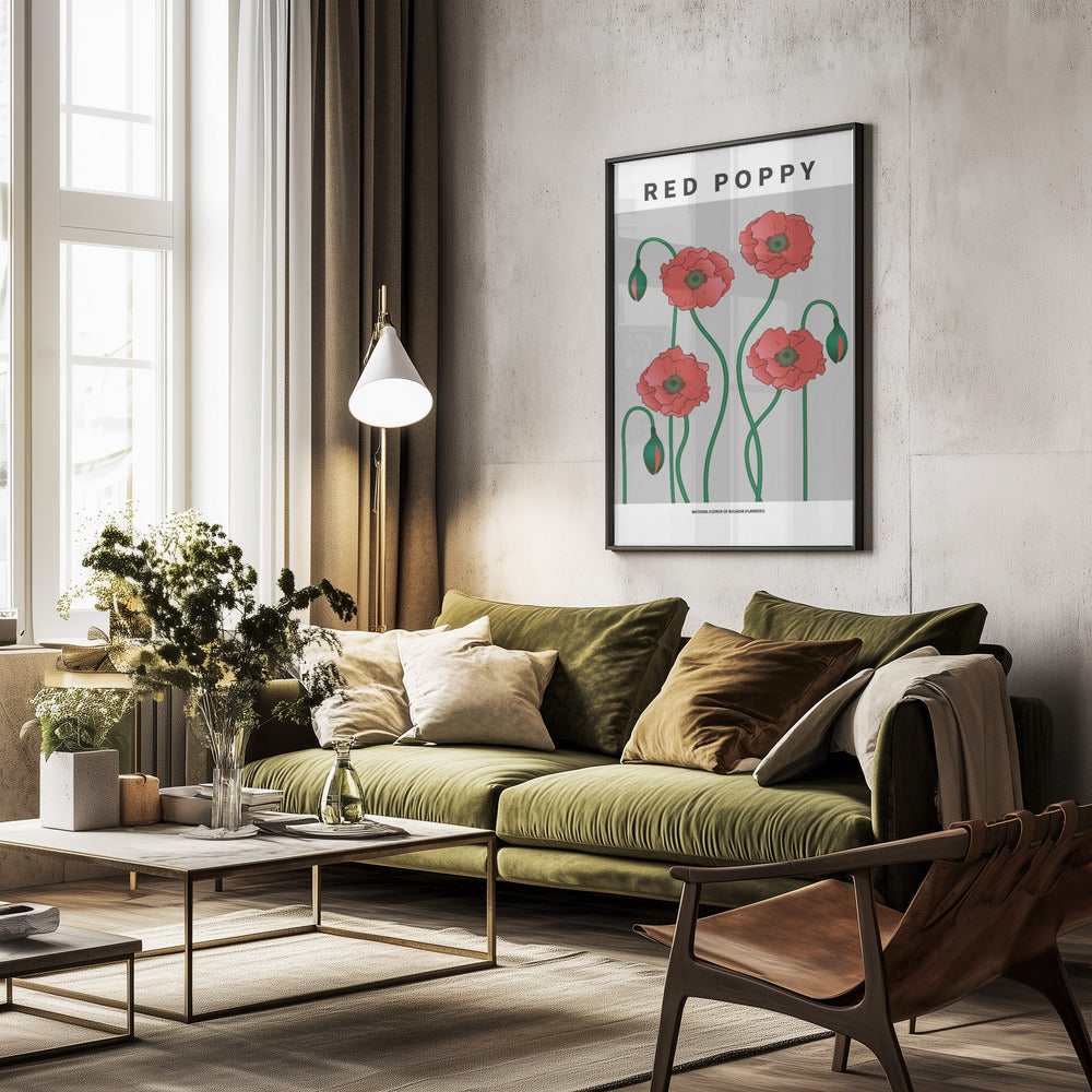 Red Poppy - National flower of Belgium Poster