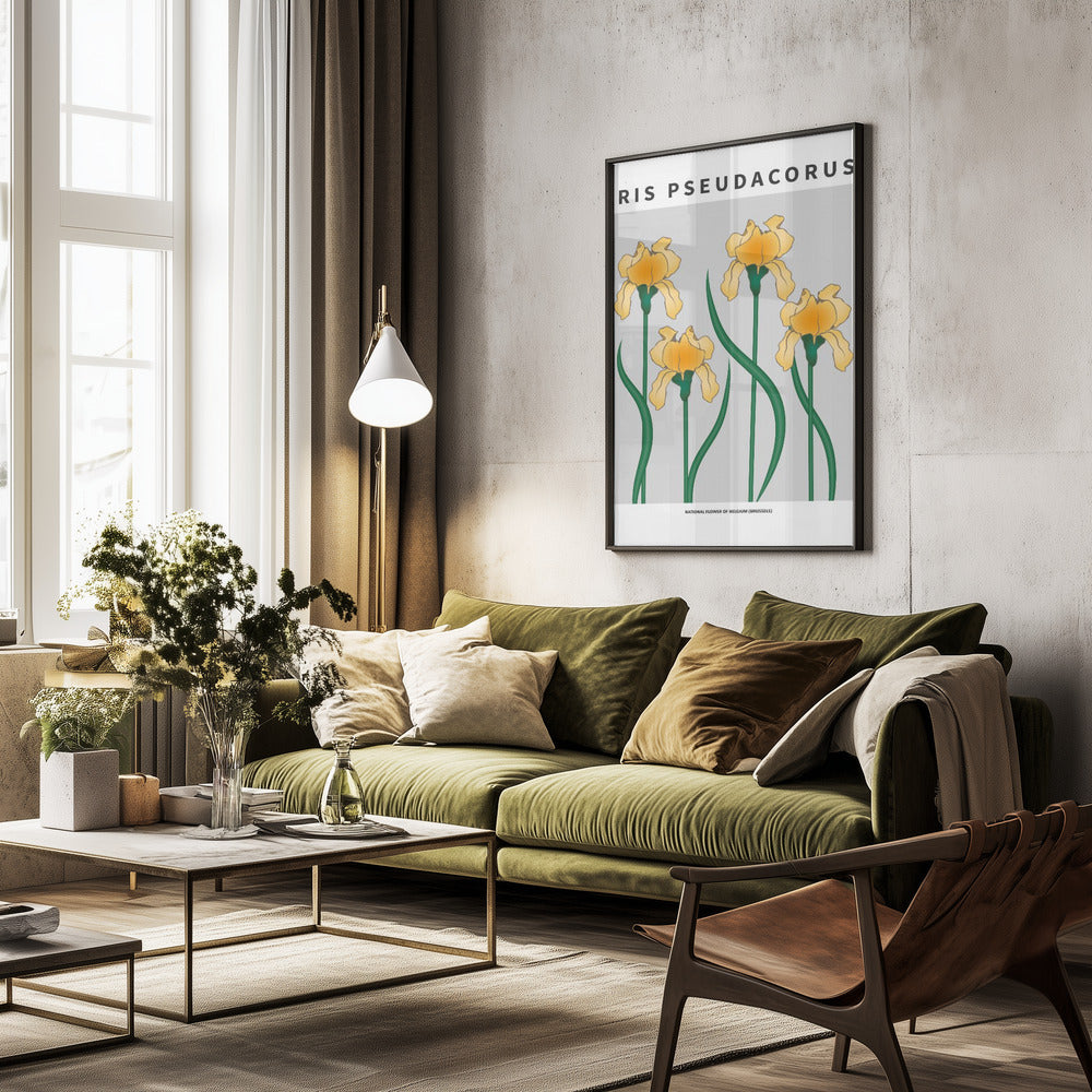 Iris - National flower of Belgium Poster