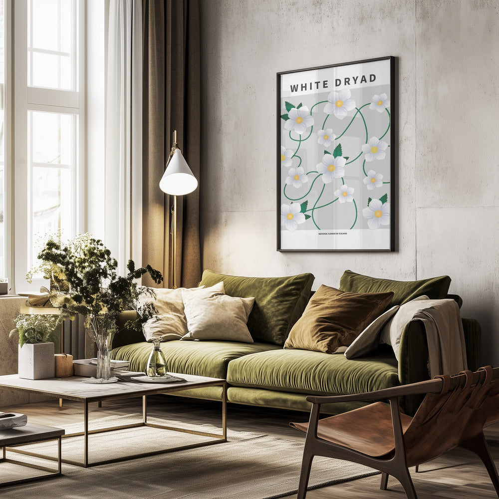 White dryad - National flower of Iceland Poster