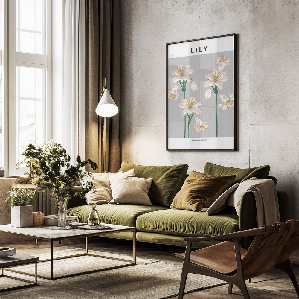 Lily - National flower of Italy Poster