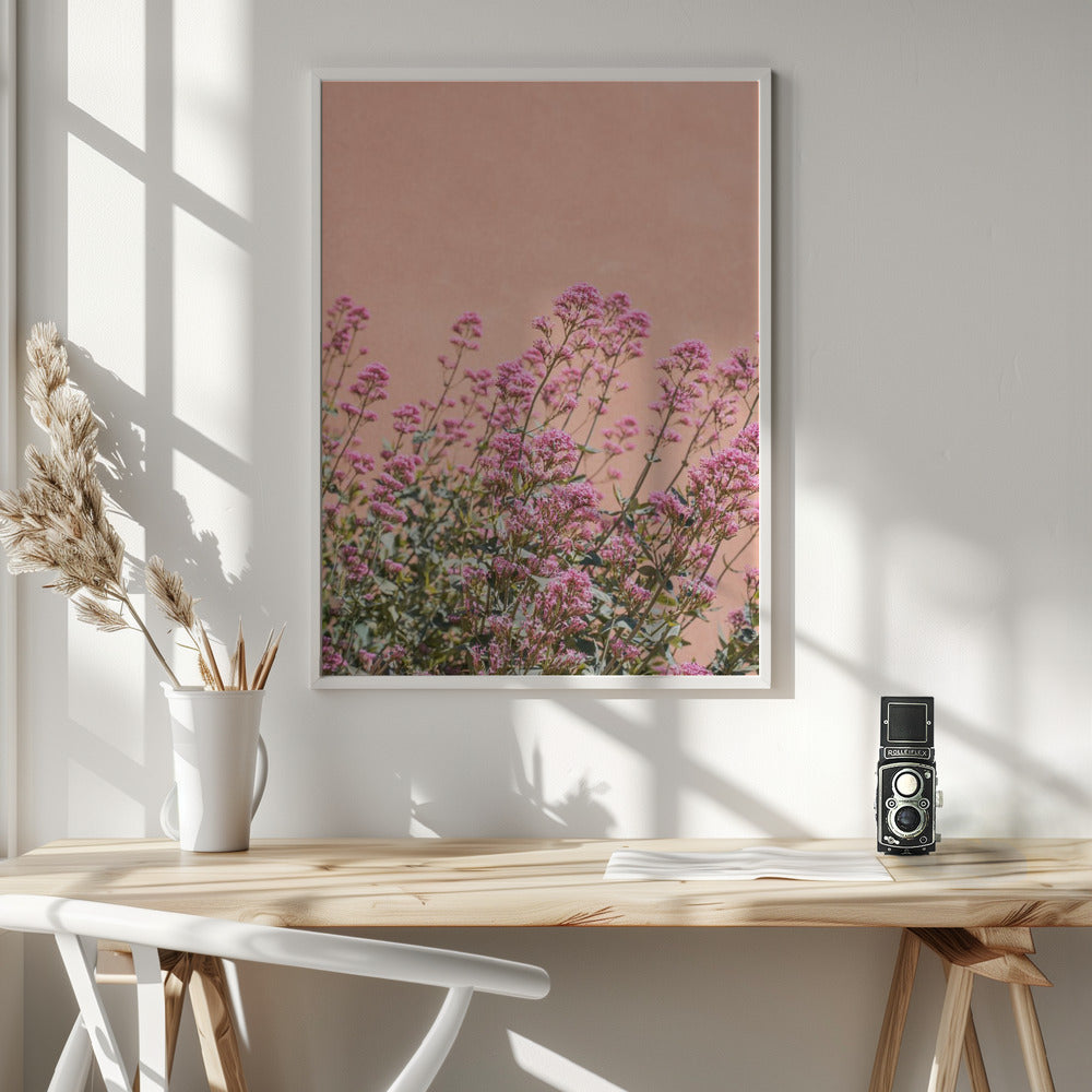 Summer Flowers Poster