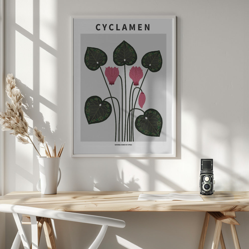 Cyklamen - National flower of Cypres Poster