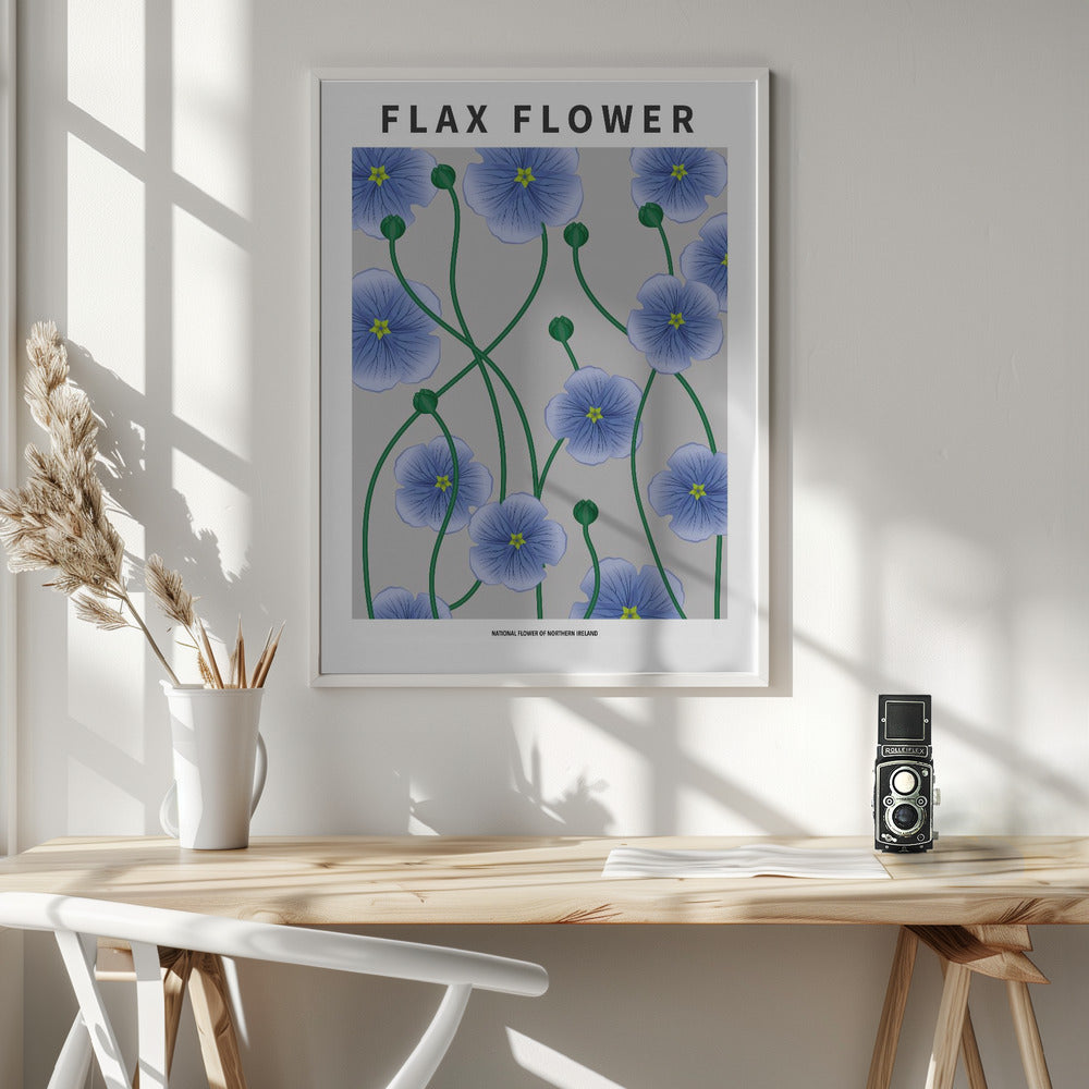 Flax flower - National flower of Ireland Poster