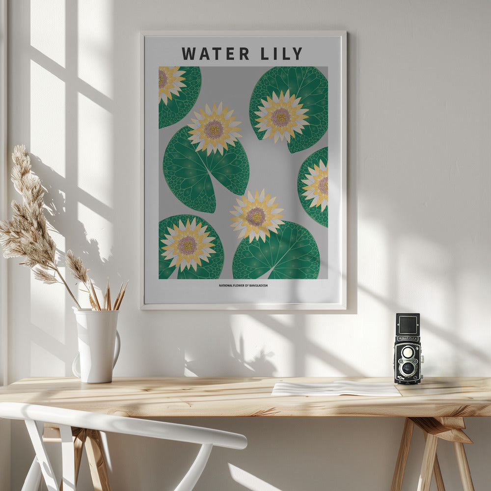 Water lily - National flower of Bangladesh Poster
