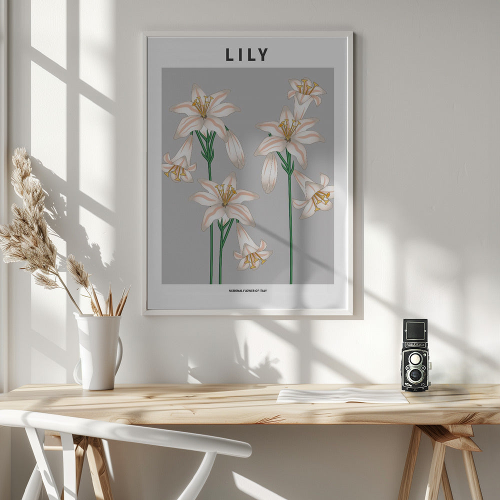 Lily - National flower of Italy Poster