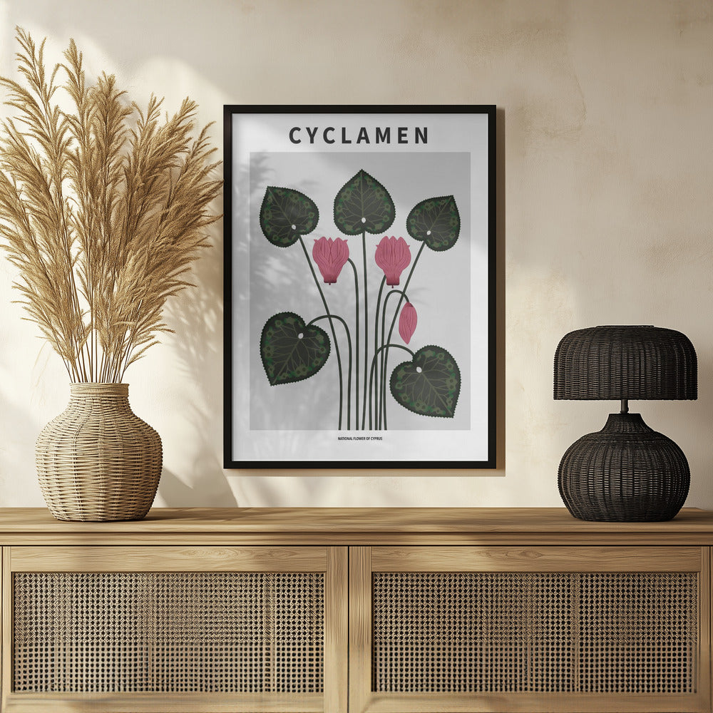 Cyklamen - National flower of Cypres Poster