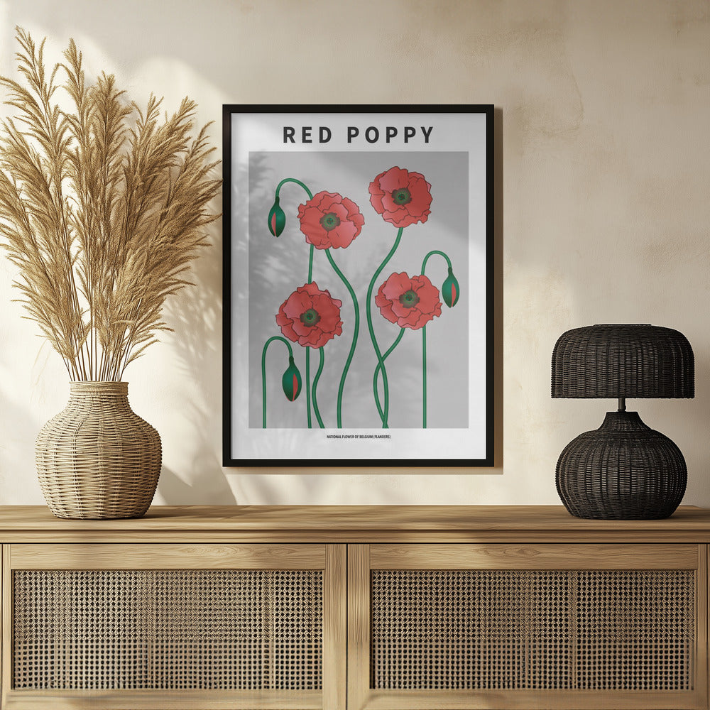 Red Poppy - National flower of Belgium Poster