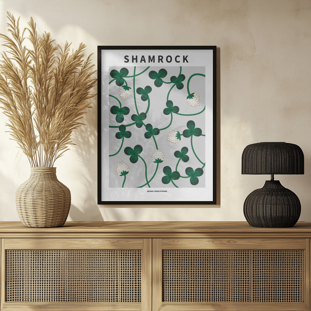 Shamrock - National flower of Ireland Poster