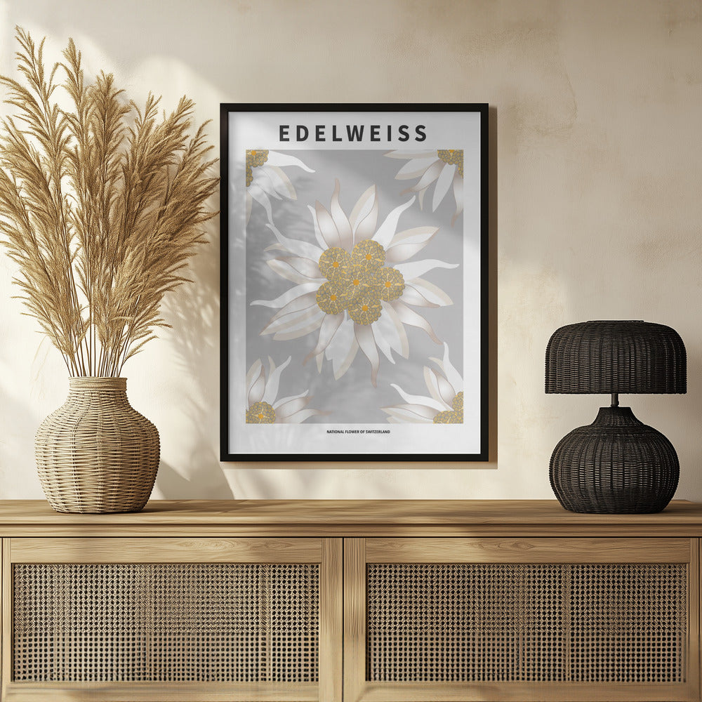 Edelweiss - National flower of Switzerland Poster