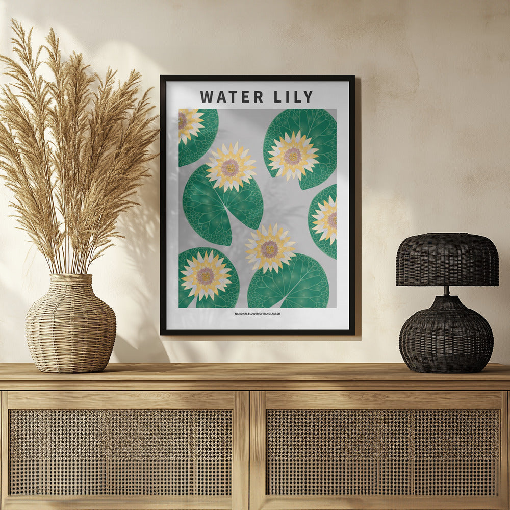 Water lily - National flower of Bangladesh Poster