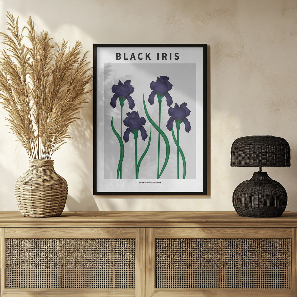 Black Iris - National flower of Jordan Poster