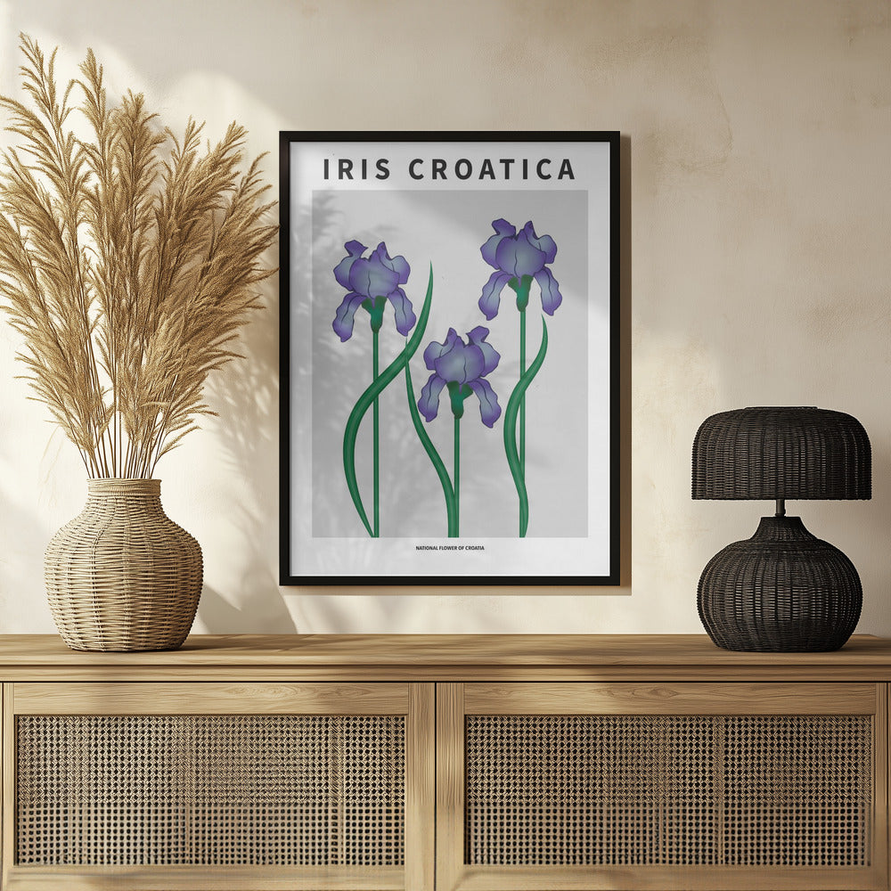 Iris Croatica - National flower of Croatia Poster