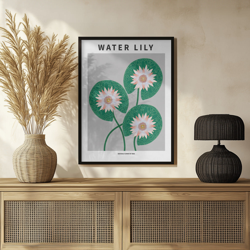 Water Lily - National flower of Iran Poster