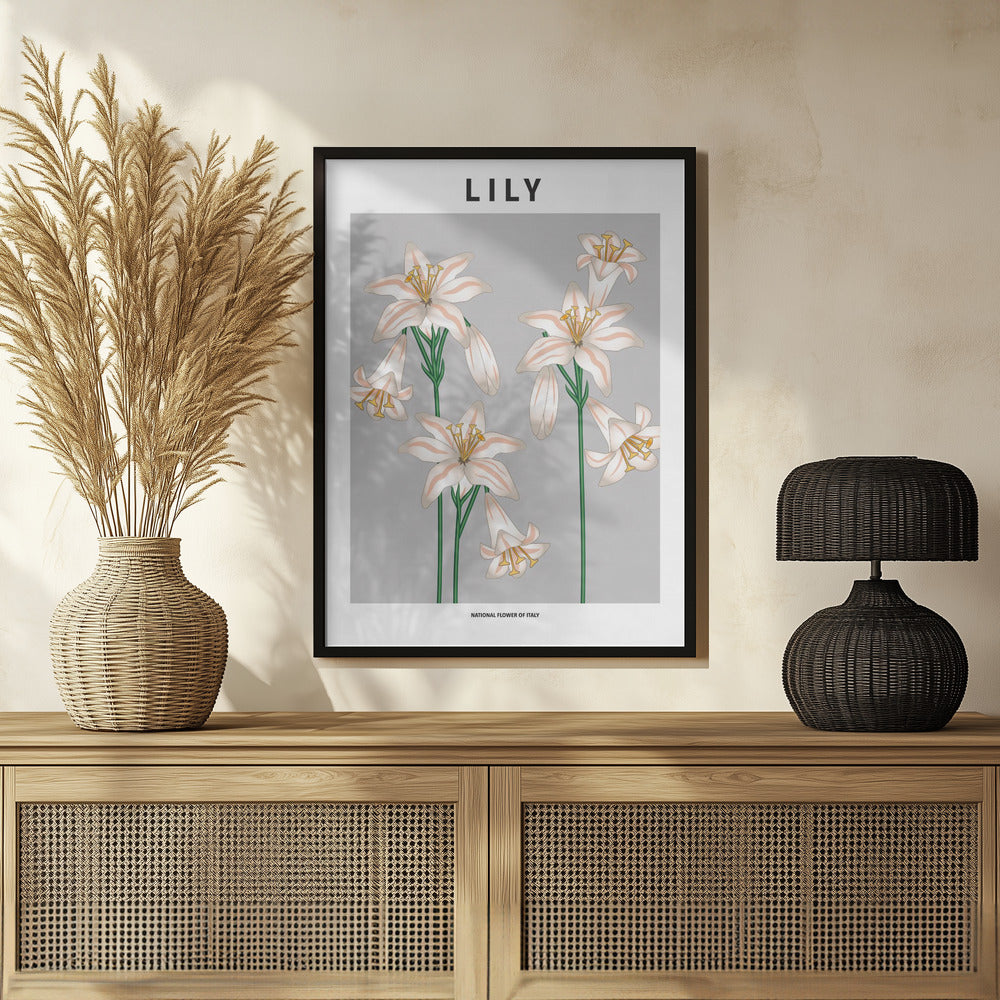 Lily - National flower of Italy Poster
