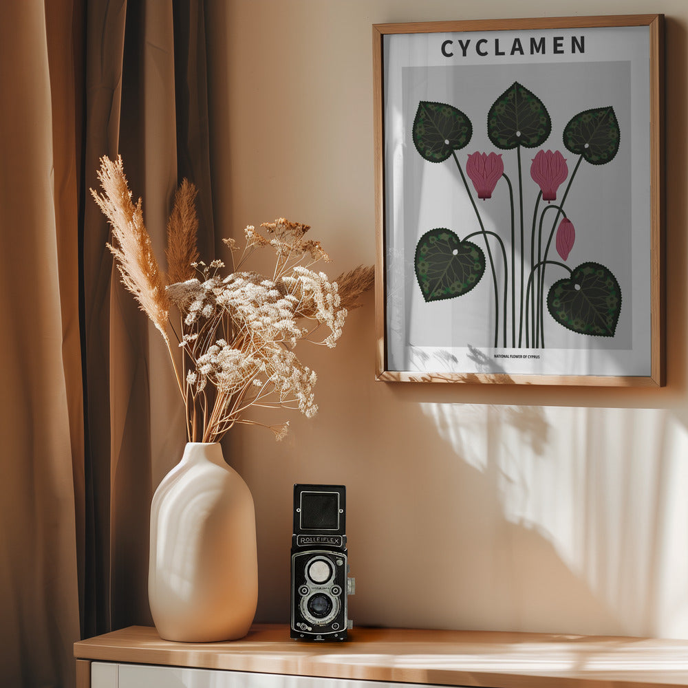 Cyklamen - National flower of Cypres Poster