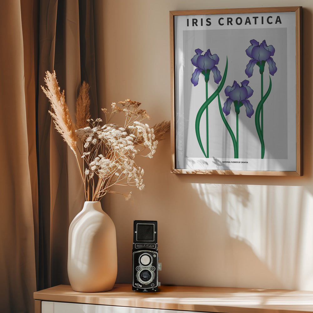 Iris Croatica - National flower of Croatia Poster