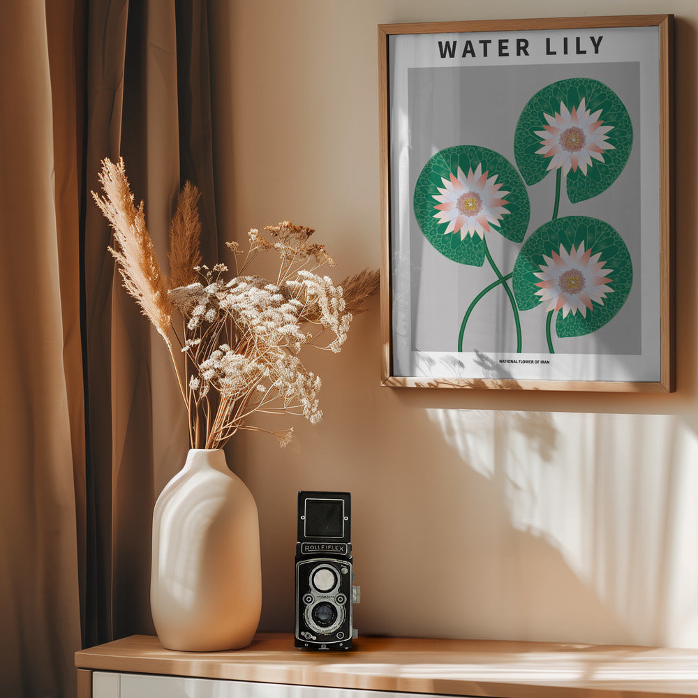 Water Lily - National flower of Iran Poster