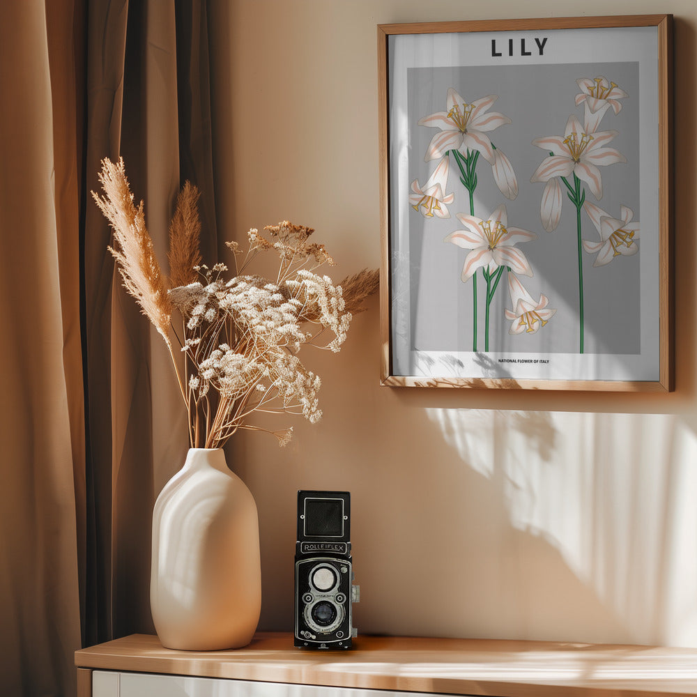 Lily - National flower of Italy Poster
