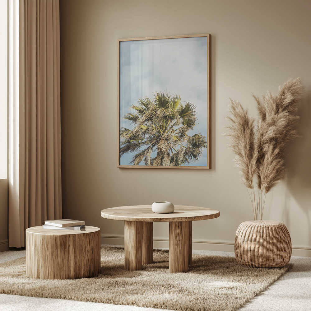 Sunlit Fronds Poster