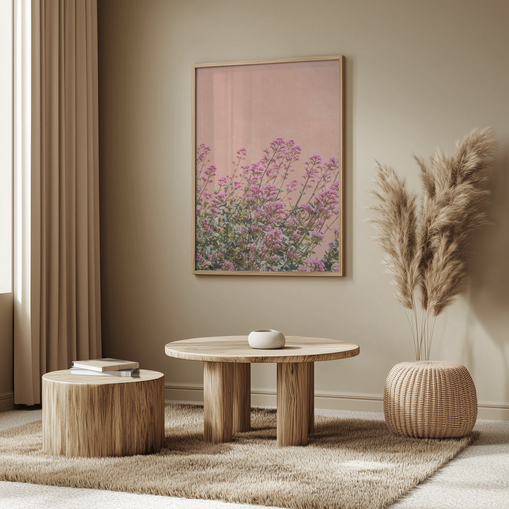 Summer Flowers Poster
