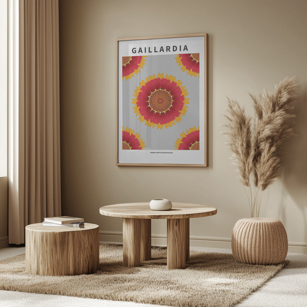Gaillardia - National flower of Belgium Poster