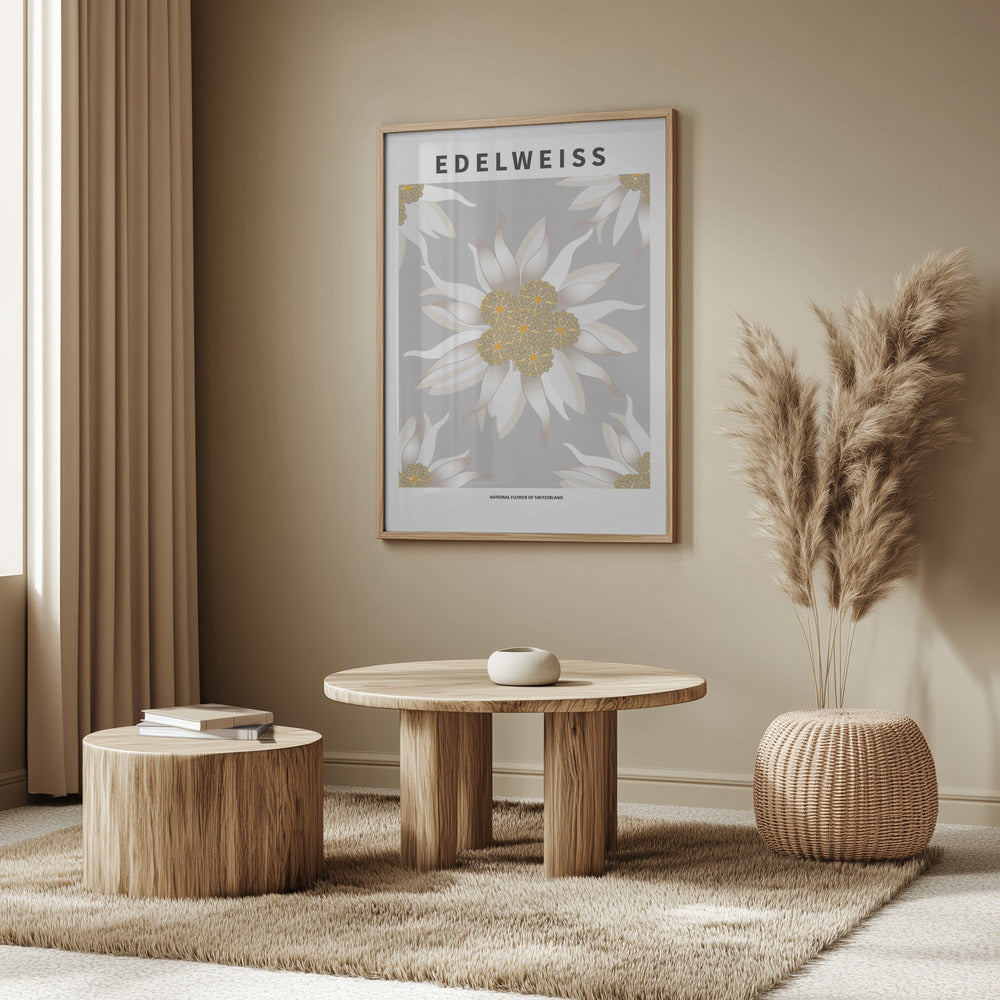 Edelweiss - National flower of Switzerland Poster